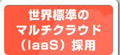 世界標準のマルチクラウド（Iaas）採用